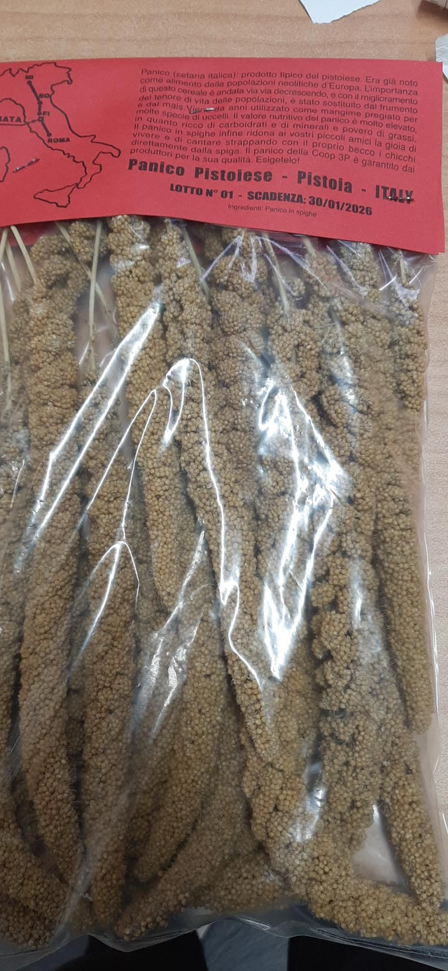 Panico di Pistoia 250 gr confezione 