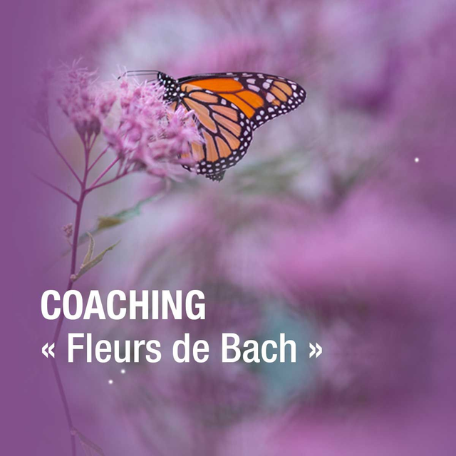 Fleurs de Bach