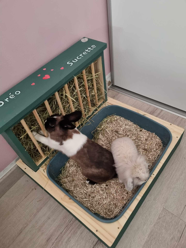 Lapi'Box XXL sans Gamelles Largeur