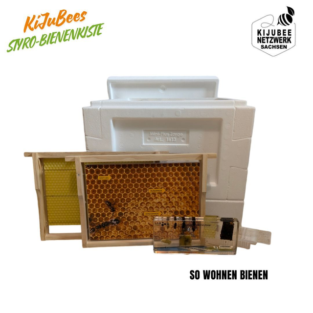 KiJuBee Bienenhaus Styropor