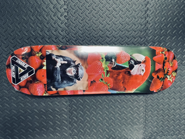 Palace Skateboards - Charlie Birch - 8,5“