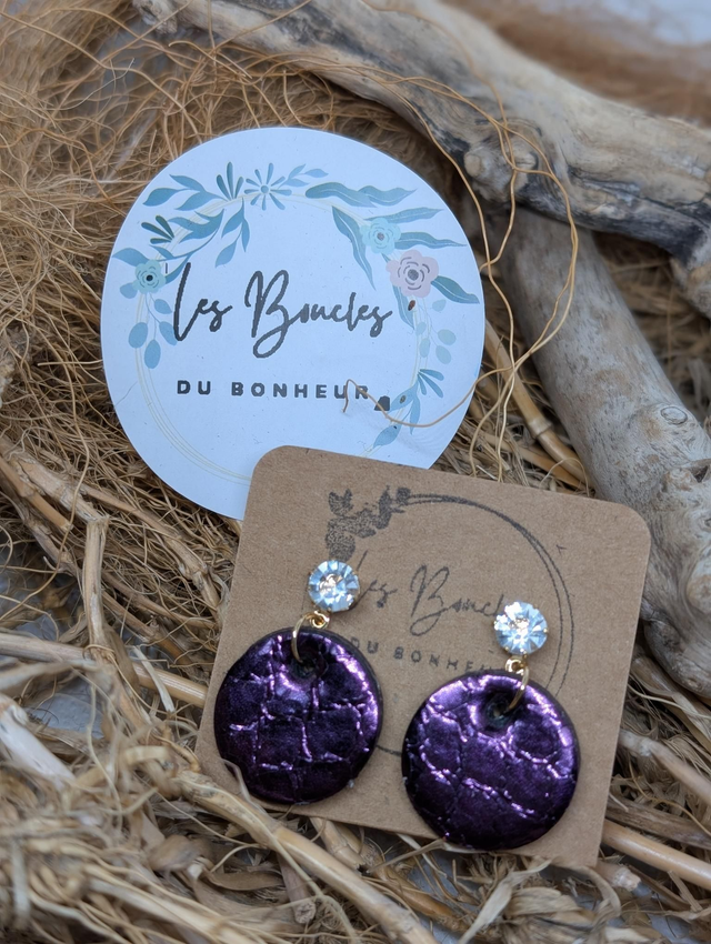 Boucles d&#039;oreilles Anti Gaspi aubergine ag057