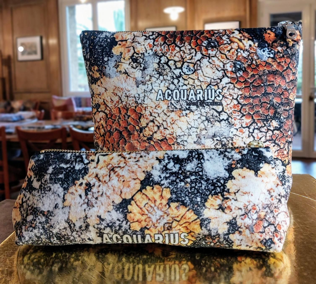 ALALIA coloris gold-blanc. Pochette et trousse.
