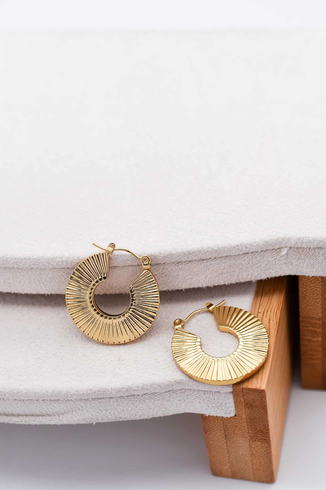 Coin Gold Earrings