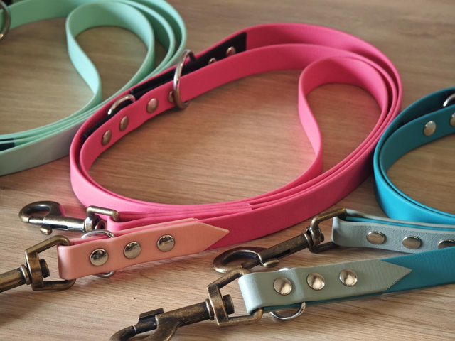 Laisse 19mm Multi position biothane