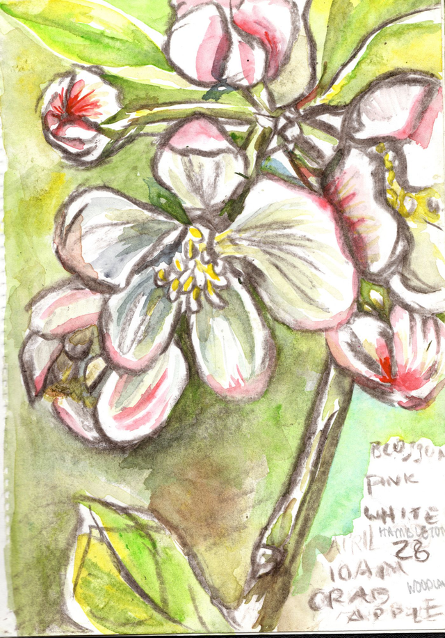 100%organic cotton beautiful Tea Towel