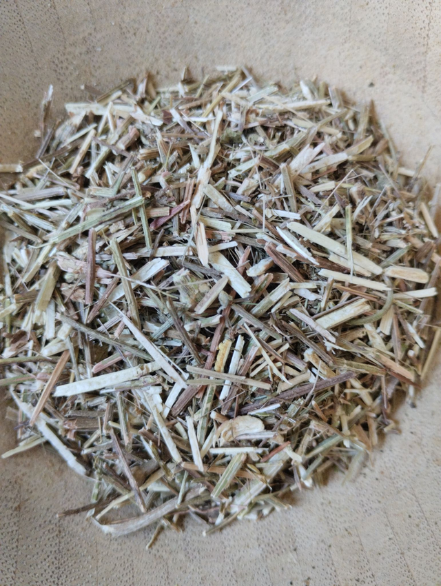 Verveine (Verbena Officinalis)