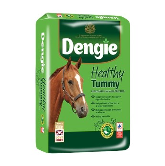 DENGIE Healthy Tummy 20kg