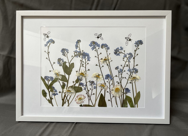 Daisies and Forget-me-nots Meadow and Bees