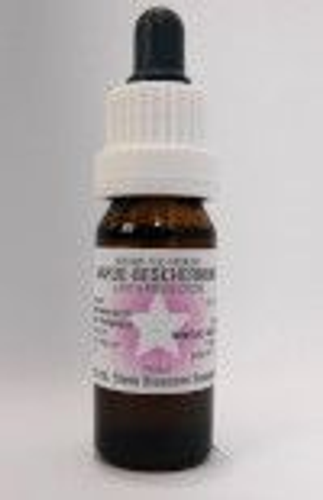 Netherlands Bloesem Essence - Earth Protection 10ml