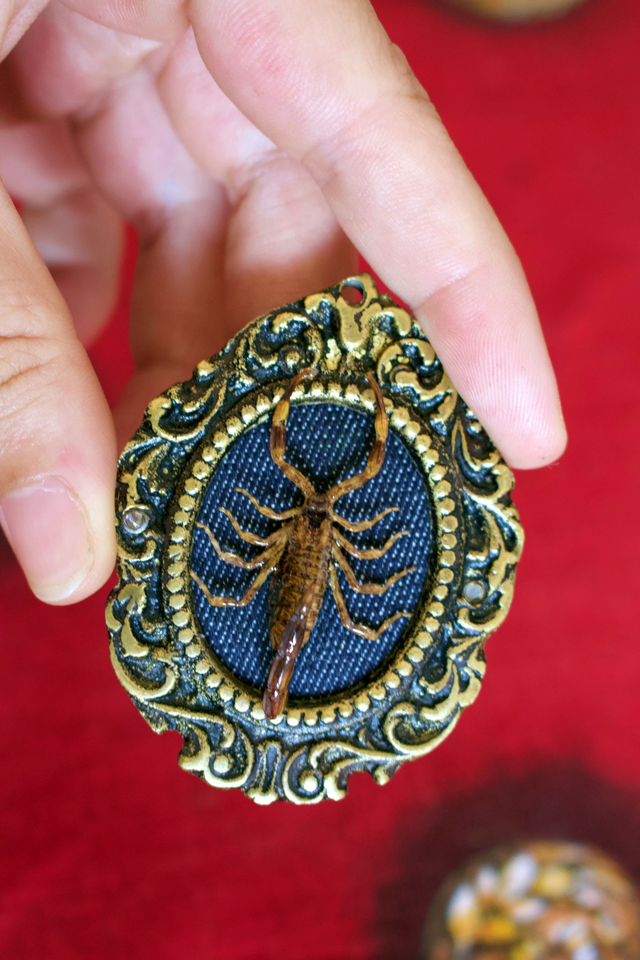 Médaillon Mesobuthus martensii