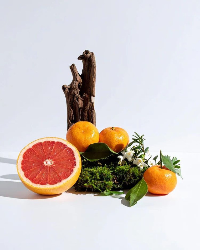 PARFUMS NOX - 185 Évoque Invictus Parfum pour HOMME