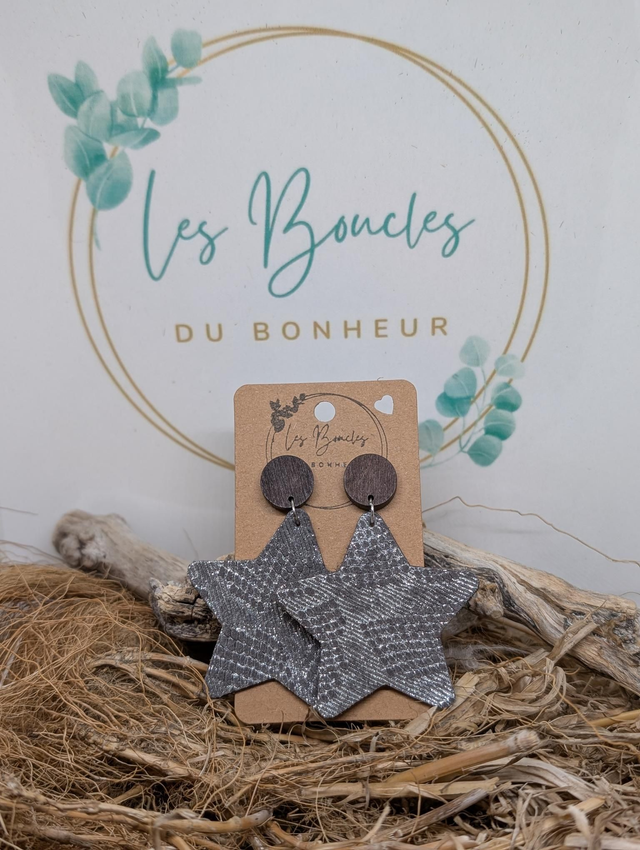Boucles d&#039;oreilles Star s039