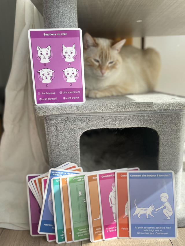 Cartes pédagogiques Les Chats de Bastet (à partir de 2 ans)