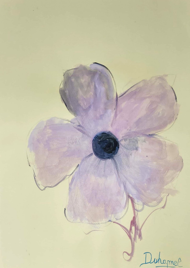 Géranium, 2013