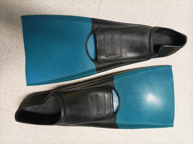 Palmes Nbaji T 42/43 occasion