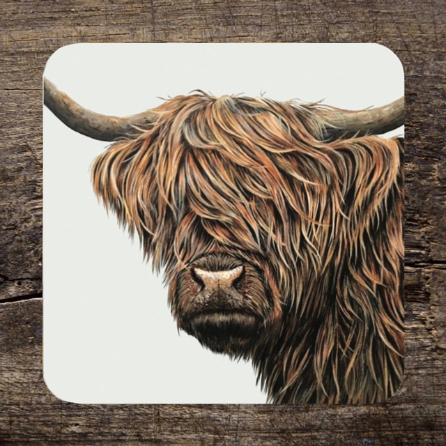 ‘Male Highland Cow’ Coaster