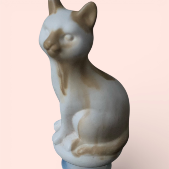 Bouchon chat bicolore ou tri