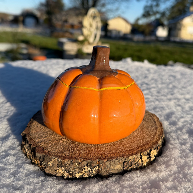 Pot citrouille orange