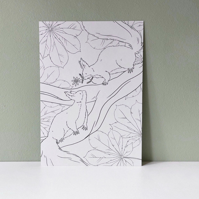 inkleurkaart [bosdieren] eekhoorns