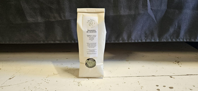 Souvenirs de vacances 