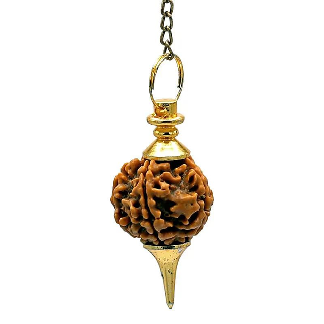 Pendule Rudraksha 