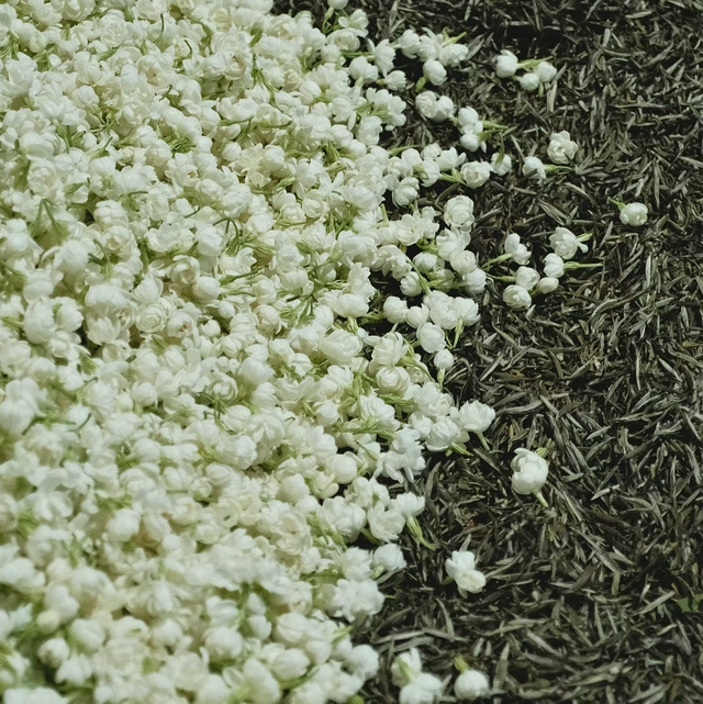 茉莉香雪NUAGE DE JASMIN