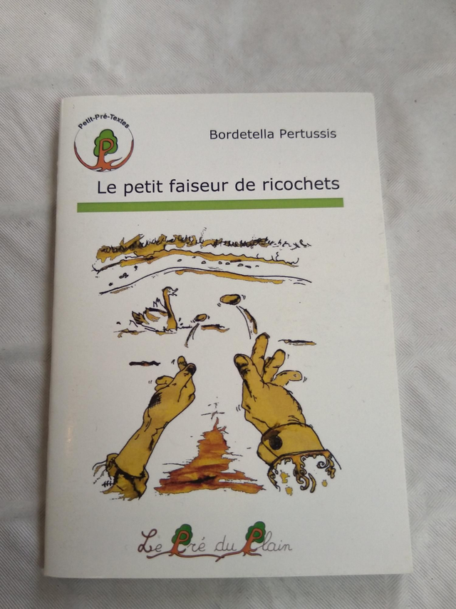Le Petit Faiseur De Ricochets 