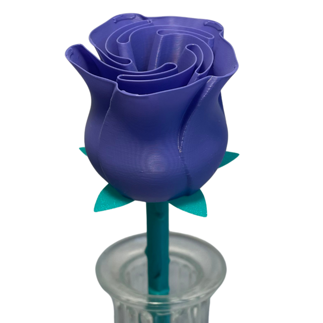 Purple Rose 22cm