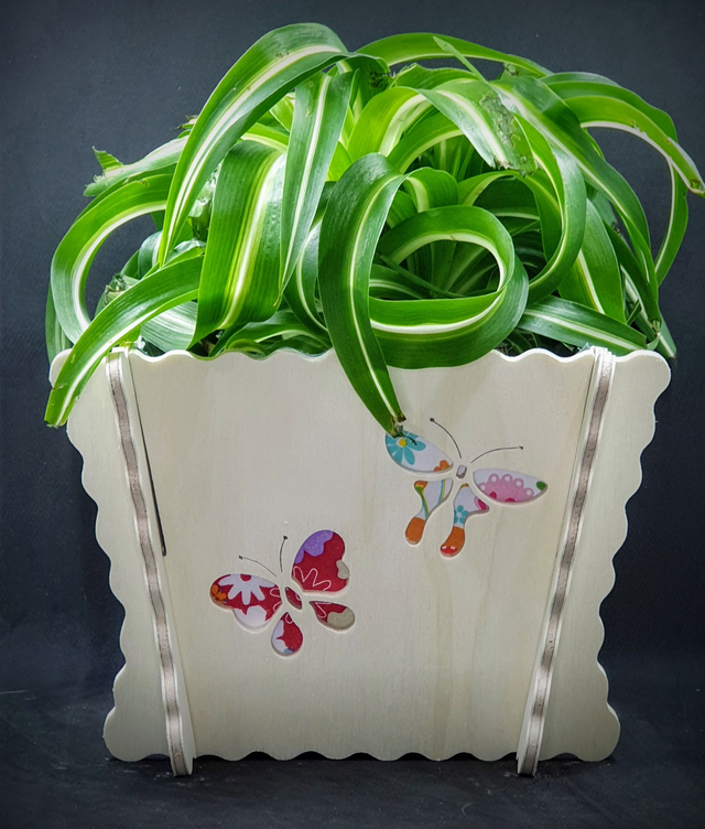 Cache-pot d&#039;intérieur motif papillons