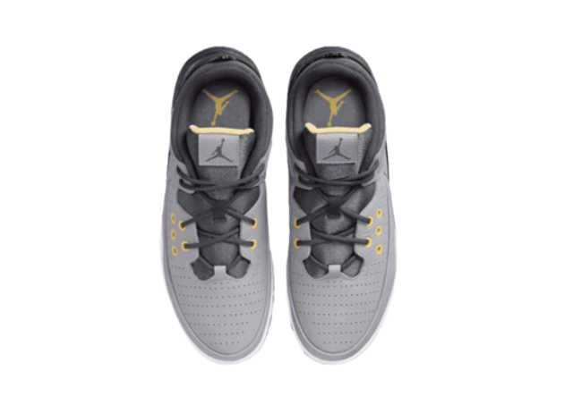 Jordan Max Aura 5 gris