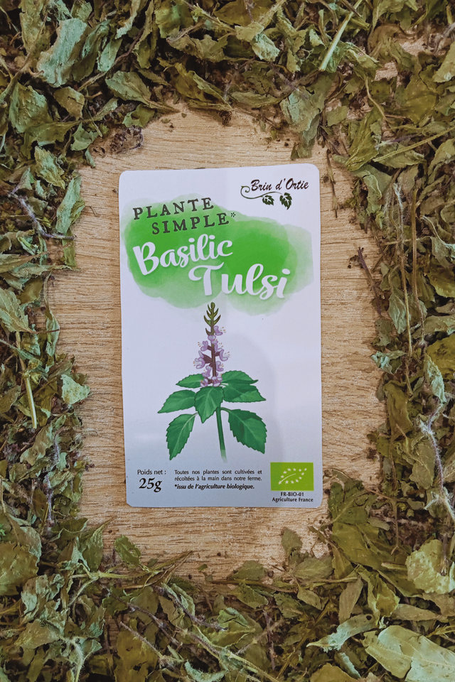Plante simple, Basilic tulsi