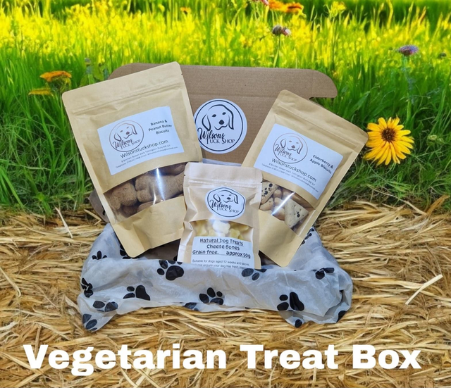 Vegetarian Treat Box