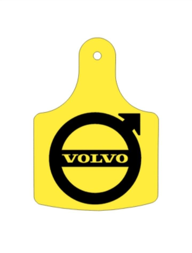 Volvo key ring