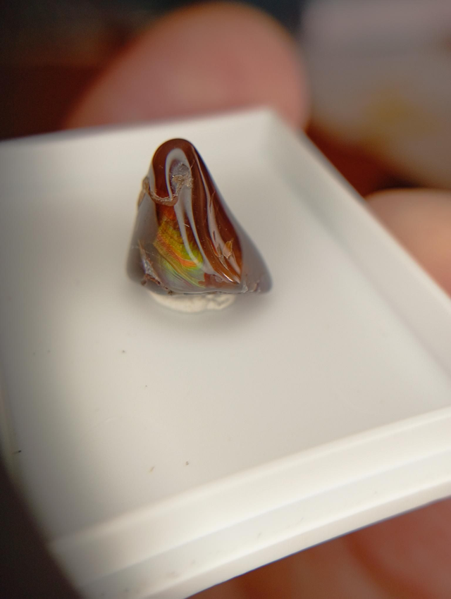 Agate feu 2