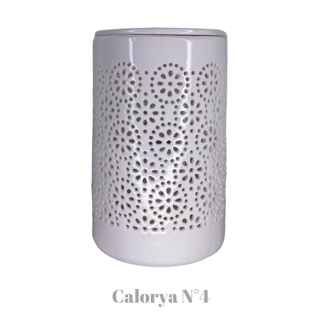 Brûleurs électriques