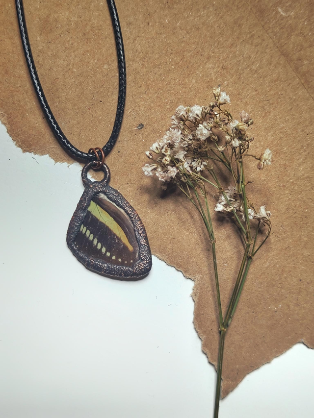Copper Framed Butterfly Wing Necklace 