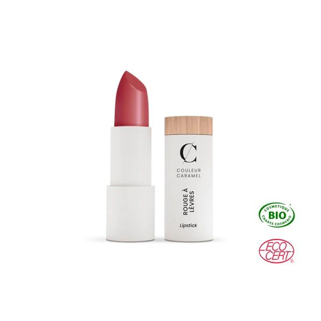 Lipstick Satin 234 - Bois de Rose 
