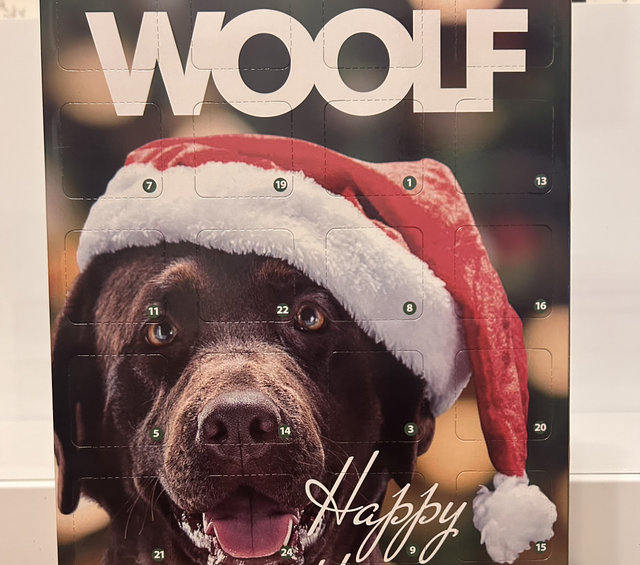 Woolf Advent Calendar
