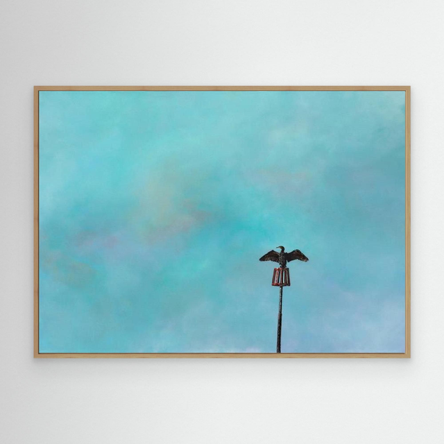 Sentinel - (Cormorant)