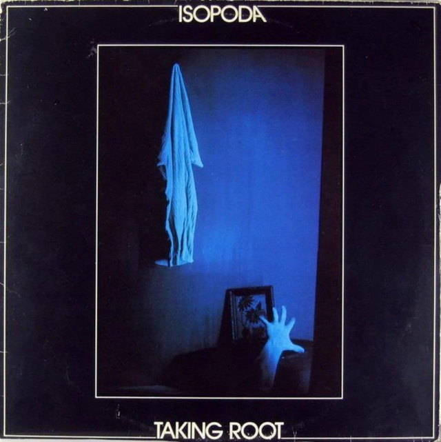 Isopoda - Taking Root