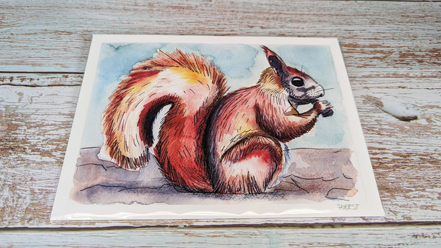 Kunstdruck "Aquarell Eichhörnchen"