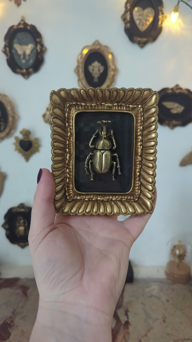 Cadre doré rectangulaire - scarabée