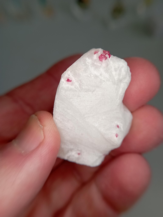 Spinelles rouge sur gange 