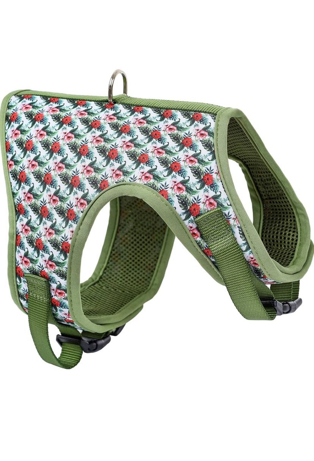 Green Wild Rose Dog Harness