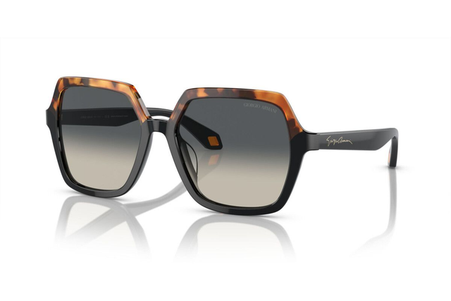 Eyewear Woman Giorgio Armani  AR 8193U 587519