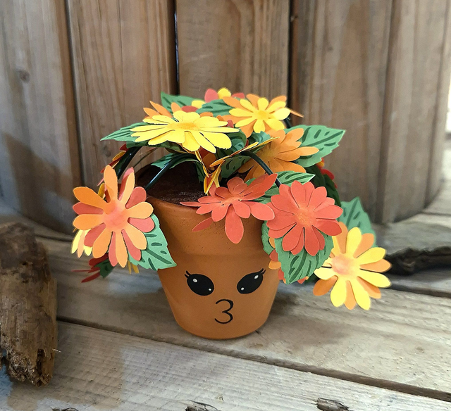 Baby plante "Sunshine"