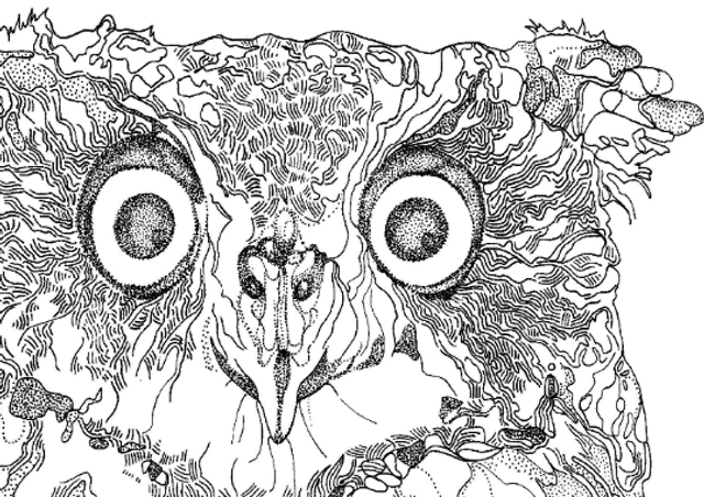 B&W A3 print - owl