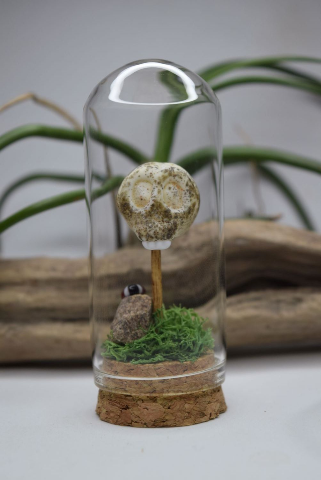 CRÂNE HUMAIN SOUS VERRE 