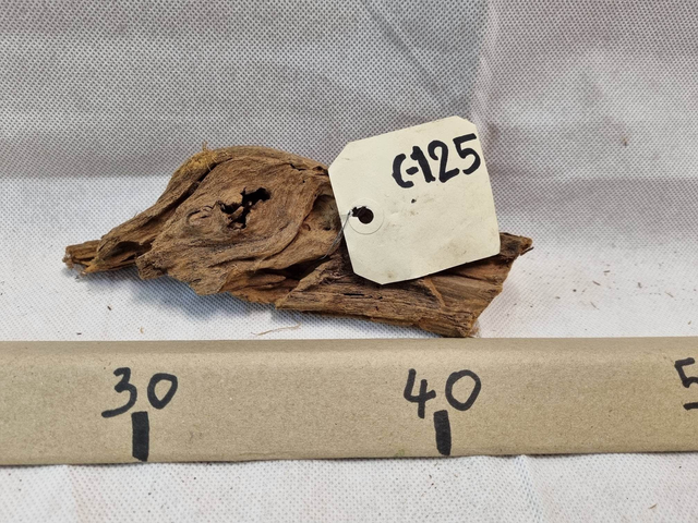 Racine Mangrove C-125